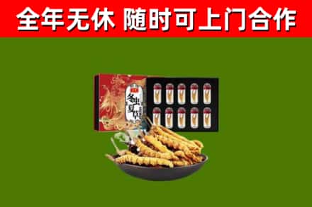 秀洲回收冬虫夏草价格